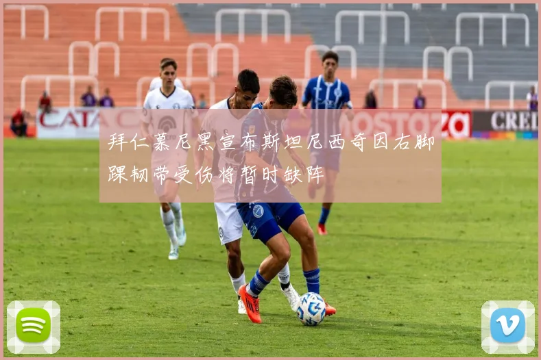 拜仁慕尼黑宣布斯坦尼西奇因右脚踝韧带受伤将暂时缺阵