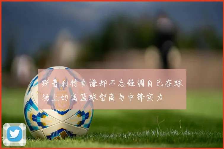 斯普利特自谦却不忘强调自己在球场上的高篮球智商与中锋实力