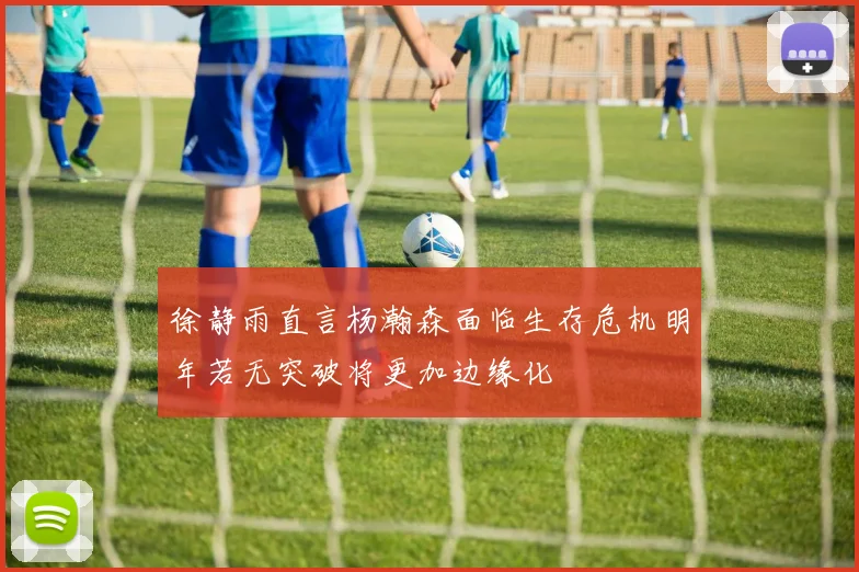 徐静雨直言杨瀚森面临生存危机明年若无突破将更加边缘化